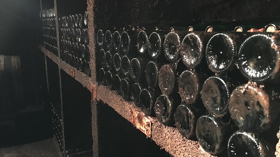 Im Weinkeller bei einer Weinprobe können noch so manche Schätze entdeckt werden! Foto: Müsel@HIS