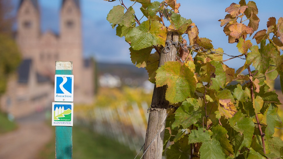 Pilger-Wandern auf dem Klostersteig von Kloster zu Kloster - das ist ein Wandergenuss im Rheingau!