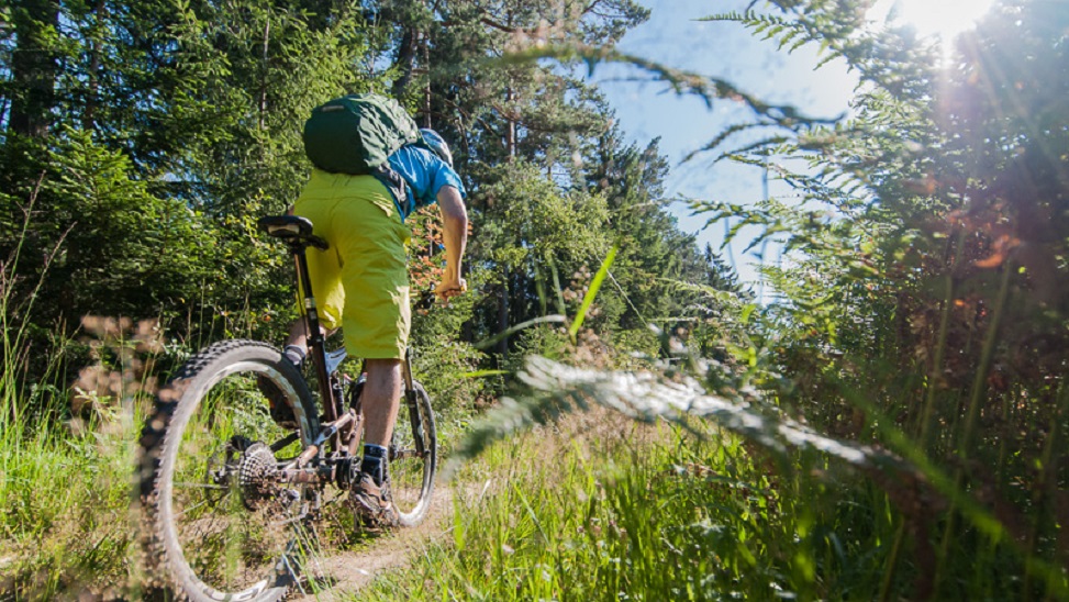 Mit Power auf dem Rad durch den Wald - Ganzkörpertraining pur! 