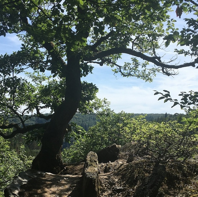 The wild Wisper Valley